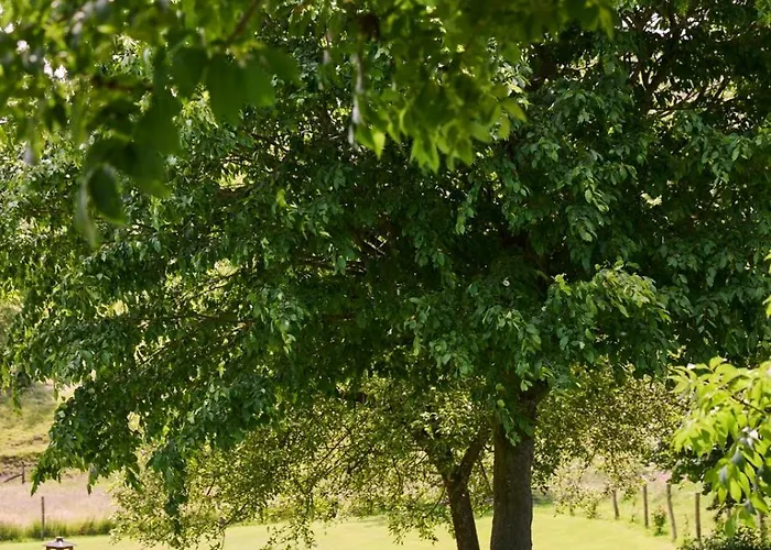 La Belle Maison Nocleg ze śniadaniem